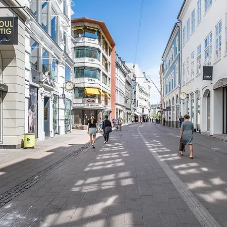 Huge Newly Redecorated Luxury Home * Copenhagen